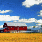 View listing ID ref#1 View listing ID ref#1